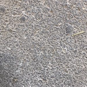 Meet your Posher, Angelica